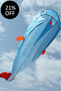 Outdoor Entertainment 3D Kites