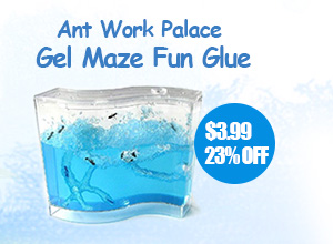Ant Work Palace Gel Maze Fun Glue