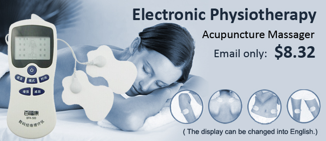 Electronic Physiotherapy Acupuncture Massager