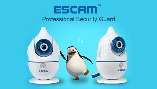 ESCAM QD800WIFI 2MP 1080P WiFi Outdoor Waterproof IP Dome Camera